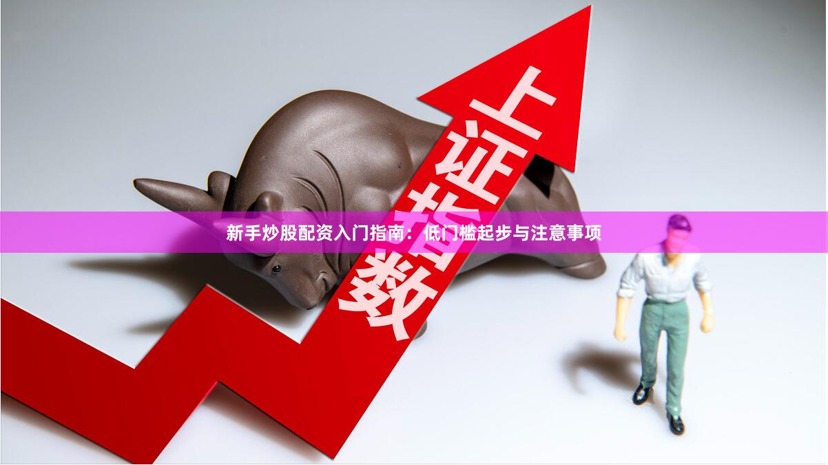 新手炒股配资入门指南：低门槛起步与注意事项